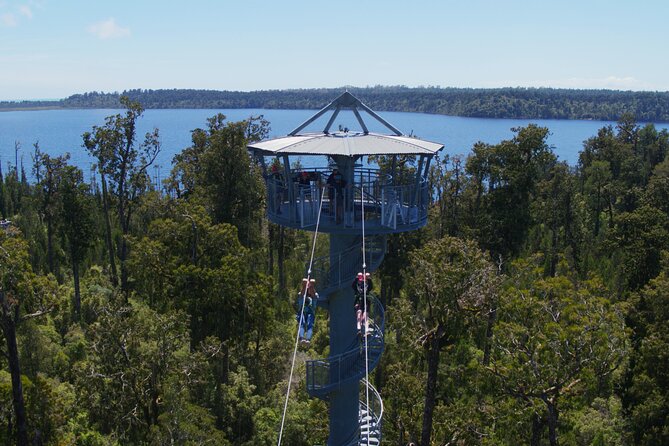 2-Hour Tower Zipline and Walkway Combo Private Guided Activity - Reviews and Feedback