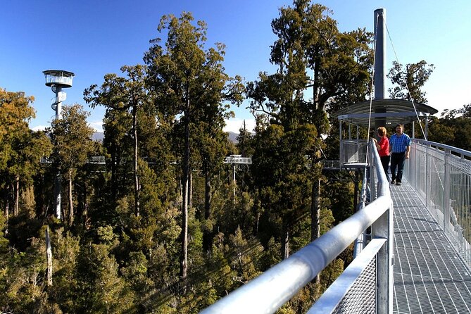 2-Hour Tower Zipline and Walkway Combo Private Guided Activity - Cancellation and Booking Policy