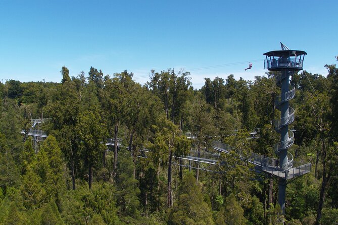 2-Hour Tower Zipline and Walkway Combo Private Guided Activity - Exploring the Tower Zipline