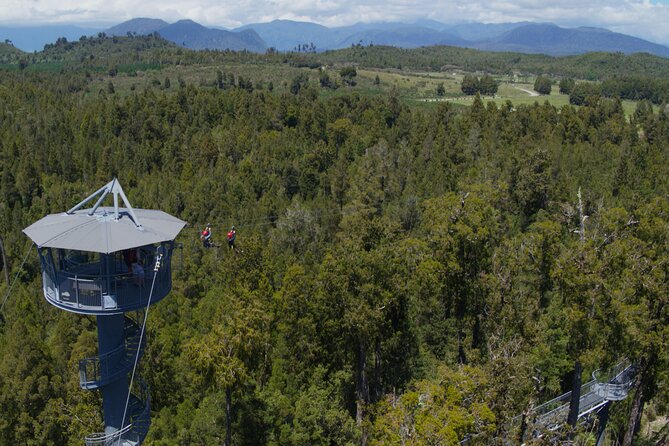 2-Hour Tower Zipline and Walkway Combo Private Guided Activity - Scenic Walkway Experience