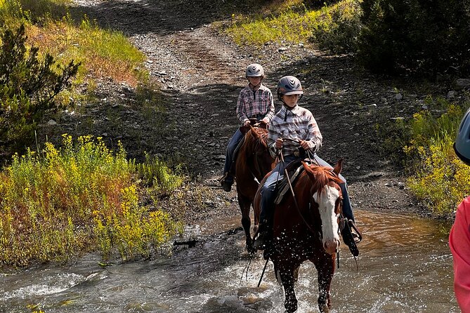 2 Hour Trail Ride in Montana Ranch Country - Why Choose Greycliff Creek Ranch