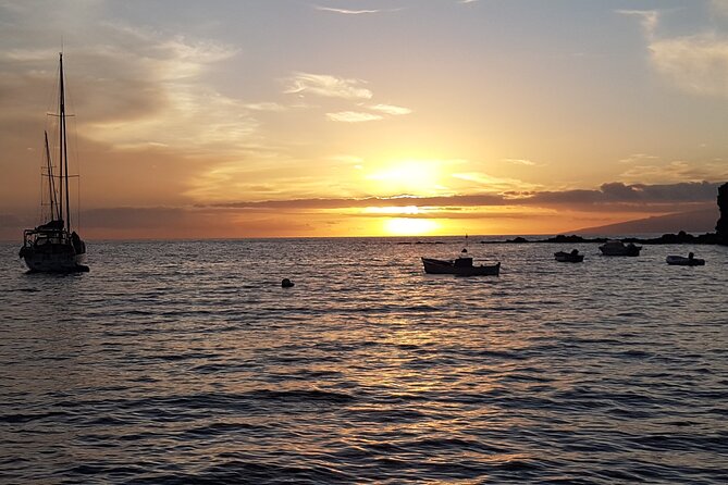2-Hour Trip to See Whales, Dolphins in Puerto Colón, Adeje - Tour Capacity and Accessibility