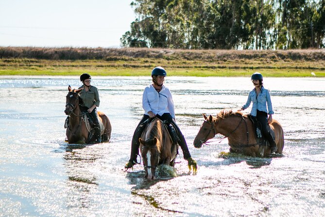 2 Hour Vineyard Trail Ride - Meeting and Pickup Information