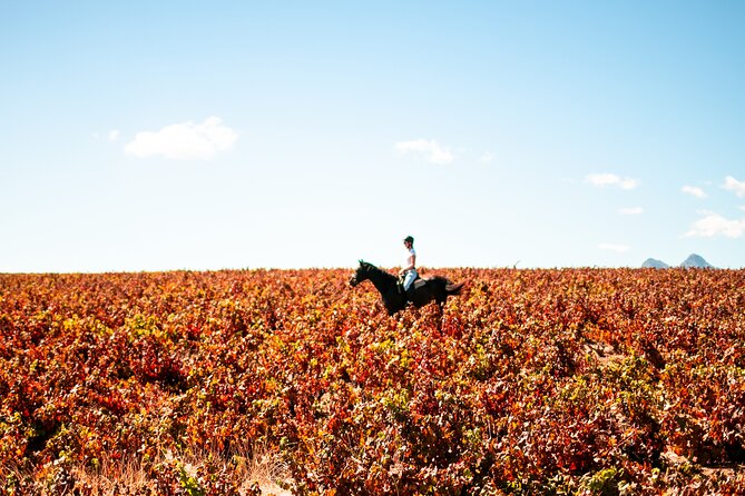 2 Hour Vineyard Trail Ride - Inclusions and Amenities
