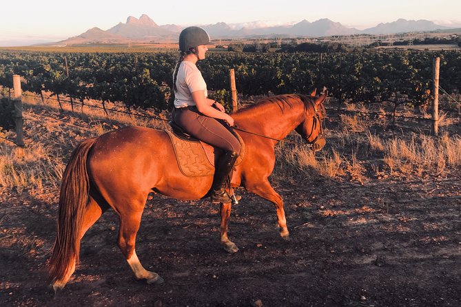 2 Hour Vineyard Trail Ride - Wildlife and Scenery Sightings