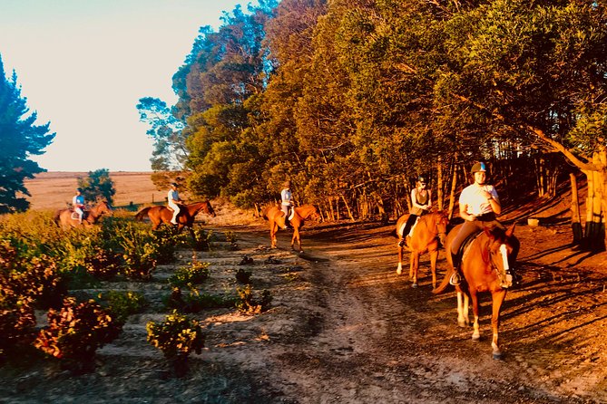 2 Hour Vineyard Trail Ride - Confirmation and Booking Details
