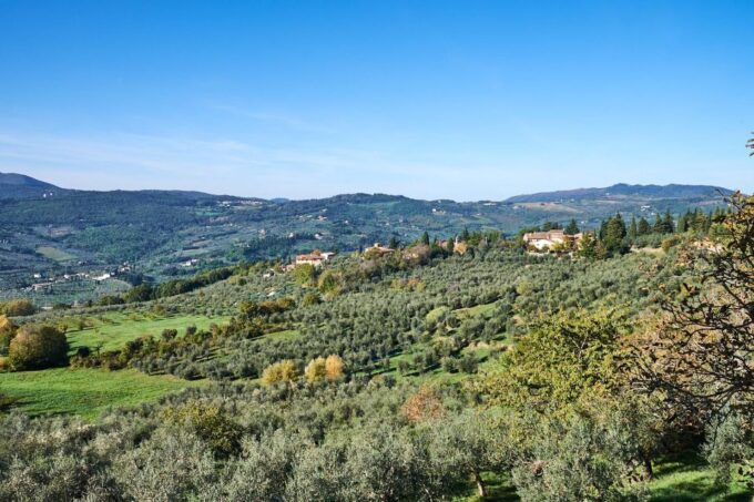 2-Hour Vintage Fiat 500 Tour With Olive Oil Tasting at Farm - Frequently Asked Questions