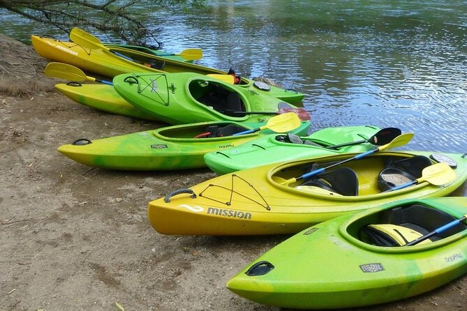 2-Hour Waikato River Guided Kayak Trip From Taupo - Participant Information