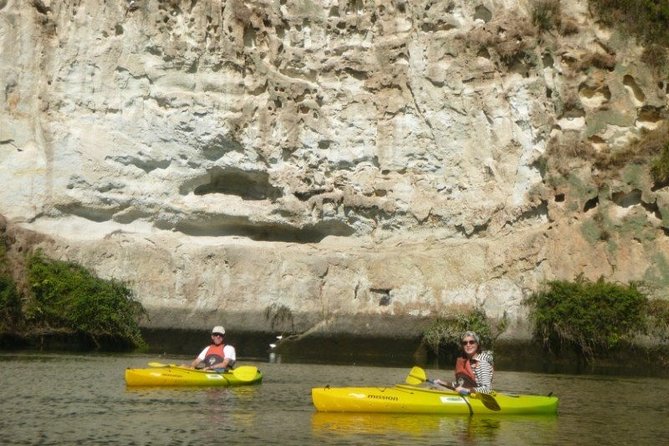 2-Hour Waikato River Guided Kayak Trip From Taupo - Experience Nature Reserves