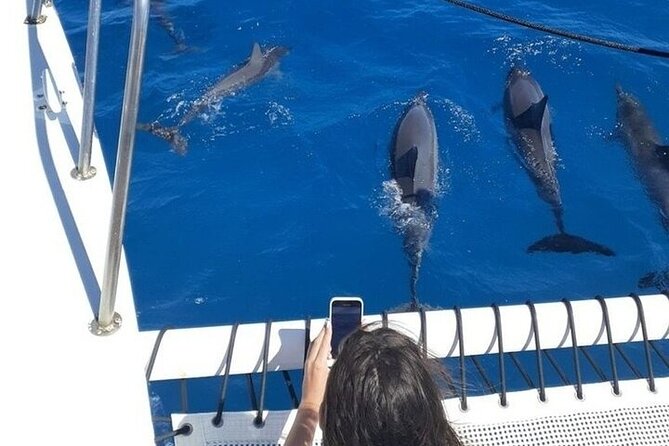2 Hour Waikiki Whale Watching in Honolulu - Location and Proximity
