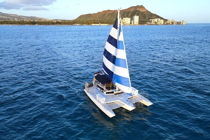 2 Hour Waikiki Whale Watching in Honolulu - Inclusions and Amenities