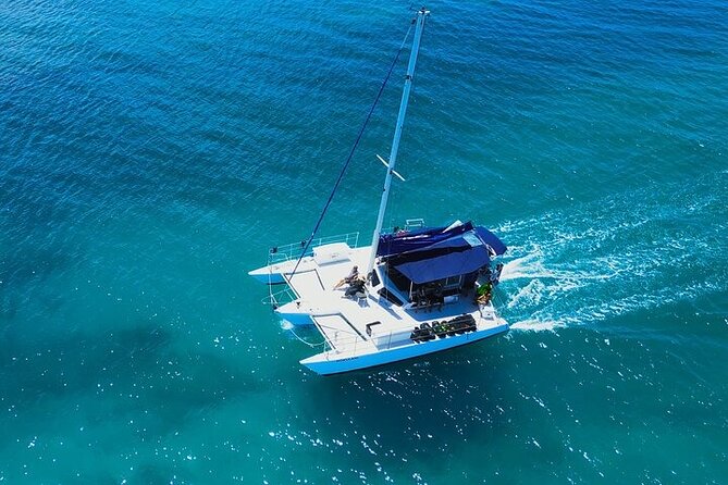 2 Hour Waikiki Whale Watching in Honolulu - Whale Watching Highlights