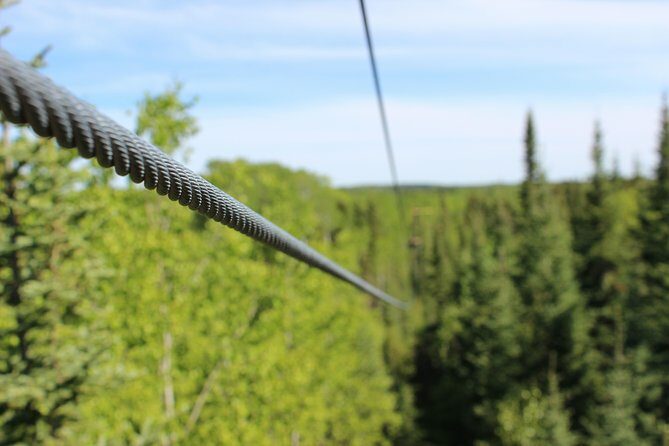 2 Hour Waskesiu Zipline Afternoon Adventure - Waskesiu’s 2-Hour Zipline Afternoon Adventure: An Inspiring Forest Flight