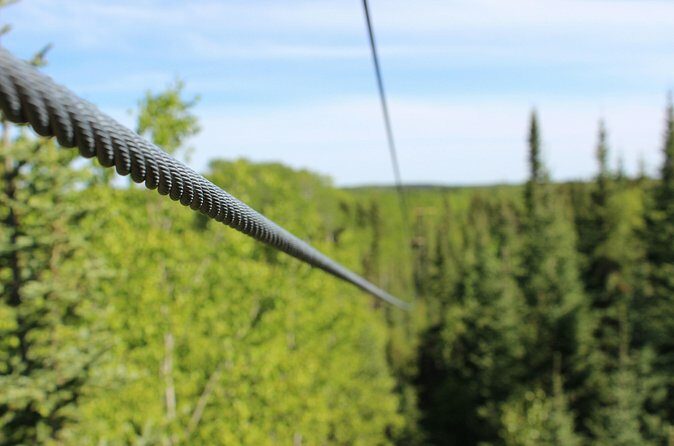 2 Hour Waskesiu Zipline Afternoon Adventure - Authentic Feedback from Past Participants