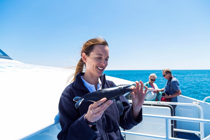 2 Hour Whale-Watching Cruise - Location and Reviews