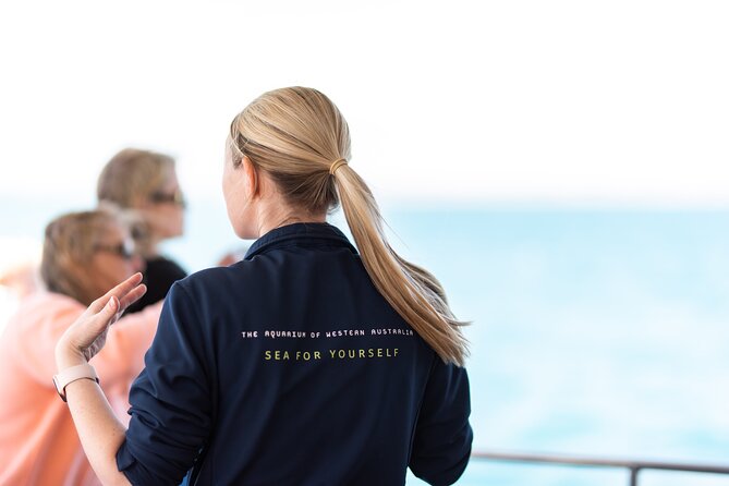 2 Hour Whale Watching Experience Departing Hillarys Boat Harbour - Vessel and Accessibility