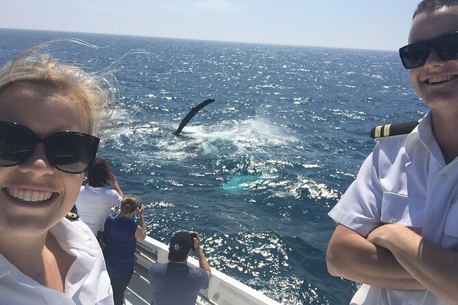 2 Hour Whale Watching Experience Departing Hillarys Boat Harbour - Booking and Cancellation Policy