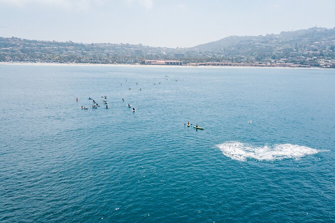2 Hour Whale Watching Kayak Tour for Two - Kayaking Tutorial and Safety Considerations