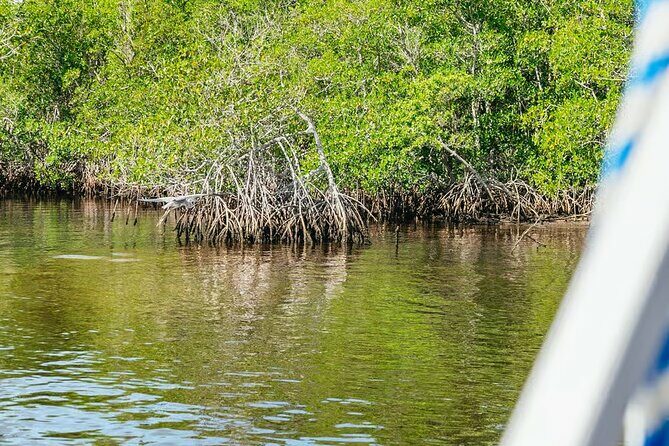 2 Hour Wildlife Adventure - Exploring the Tour Itinerary in Detail