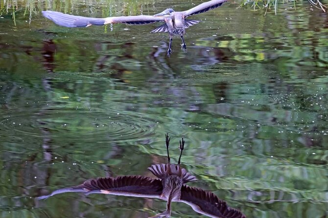 2-Hour Wildlife and Culture Small Van Excursion - Wildlife Sightings and Encounters