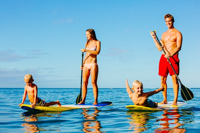 2 Hours ,2 Paddleboards & Up - Experience Highlights