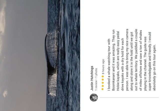 2 Hours 30 Minutes Whale Watch And/Or Scenic Tour - Meeting Location