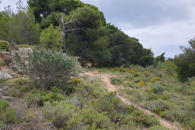 2-Hours 4X4 Tour in Spetses Safari - Meeting and Pickup