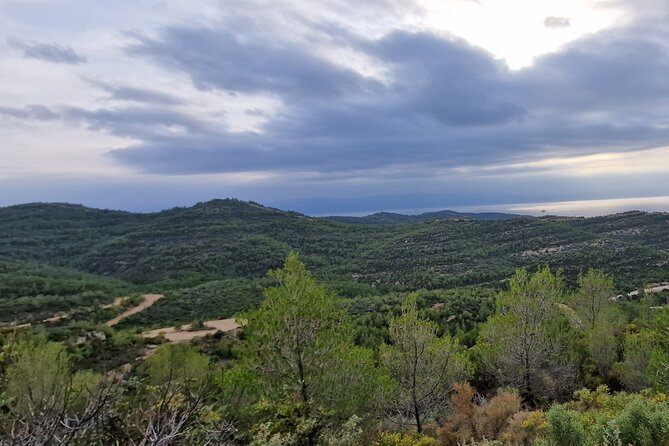 2-Hours 4X4 Tour in Spetses Safari - Additional Information