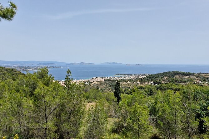 2-Hours 4X4 Tour in Spetses Safari - Guest Reviews