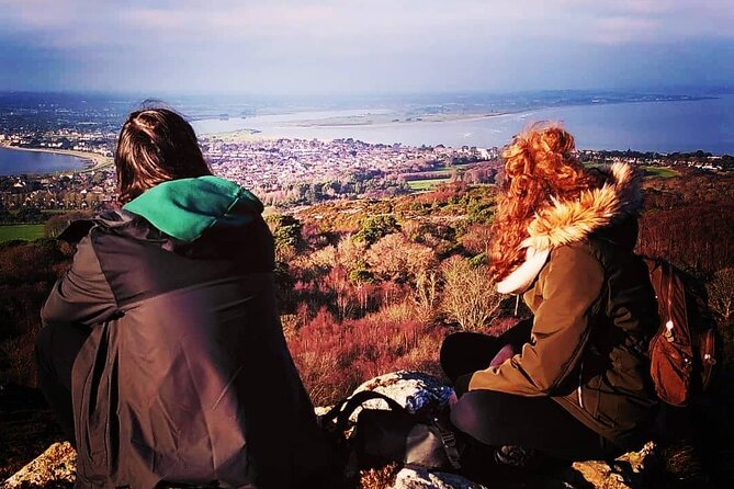 2-Hours and 30 Minutes Historical Walking Tour in Dublin - Booking Information