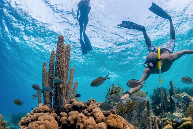 2 Hours and a Half Fun Trip to No Name Beach - Snorkeling and Underwater Exploration