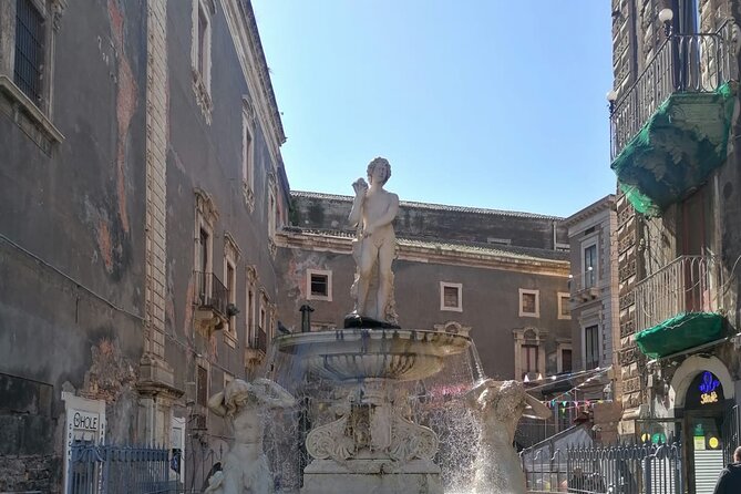 2 Hours and a Half Private Guided Tour of Catania - Pricing and Availability