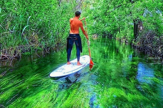 2 Hours and a Half Sup Tour in the Ciane Reserve in Syracuse - Activity Description