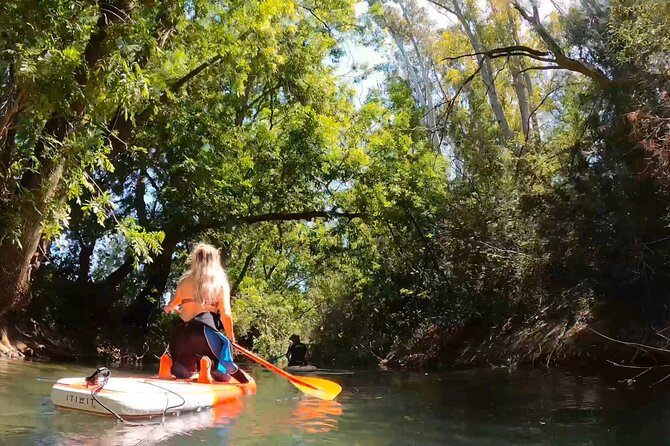 2 Hours and a Half Sup Tour in the Ciane Reserve in Syracuse - Accessibility and Recommendations