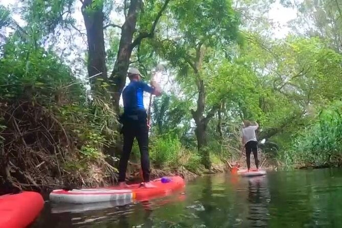 2 Hours and a Half Sup Tour in the Ciane Reserve in Syracuse - Additional Information