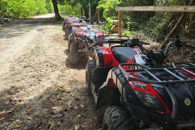 2 Hours ATV Jungle, Caverns and Mayan Ruins Tour - Inclusions and Exclusions