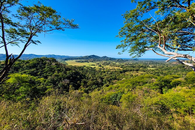 2 Hours ATV QUAD in Sta Rosa Tamarindo - Thrilling ATV Quad Experience