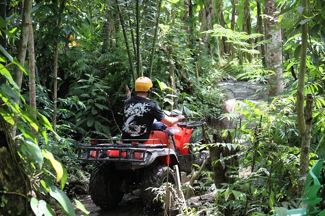 2 Hours Bali ATV Quad Tour - Nearby Attractions
