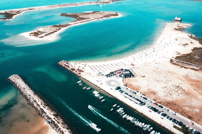 2 Hours Boat Tour in Ria Formosa - Observing Local Sea Life