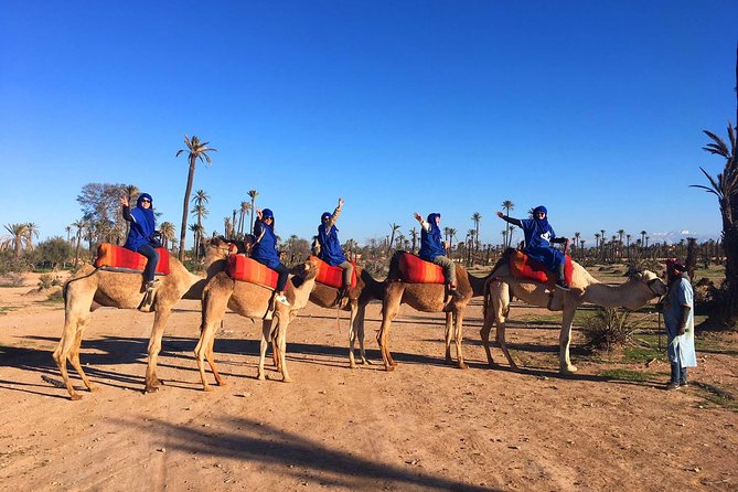 2 Hours Camel Ride in The Famous Marrakech Palm Groves and Berber Villages - Camel Riding Essentials