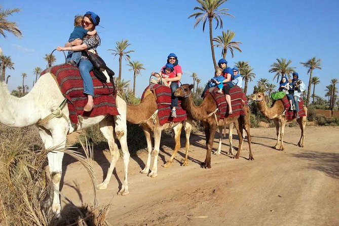 2 Hours Camel Ride in The Famous Marrakech Palm Groves and Berber Villages - Breathtaking Scenic Views