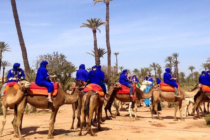 2 Hours Camel Ride in The Famous Marrakech Palm Groves and Berber Villages - Inclusive Tour Package