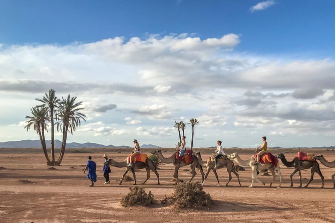 2 Hours Camel Ride in The Famous Marrakech Palm Groves and Berber Villages - Traveler Reviews and Ratings