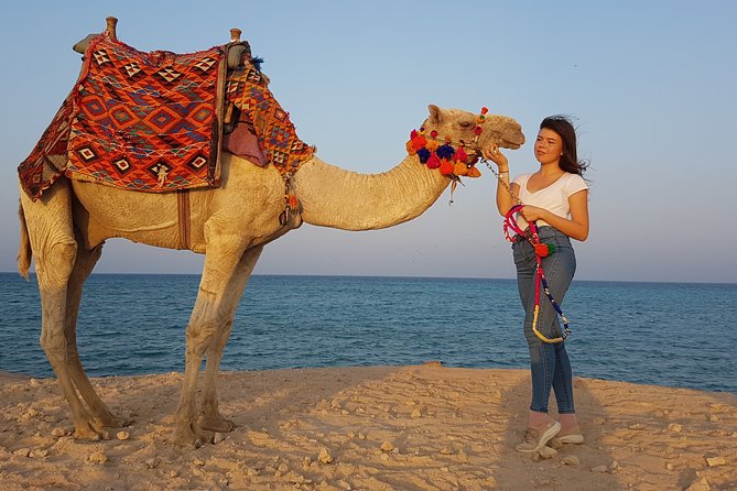 2 Hours Camel Riding at Amazing Desert & Sea With Transfer - Hurghada - Accessibility and Participation
