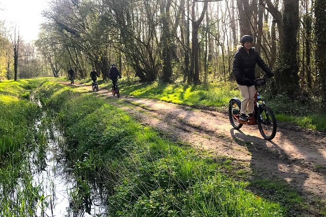 2 Hours Discovery Tour of Versailles on Electric 2 Wheels - Tour Exclusions