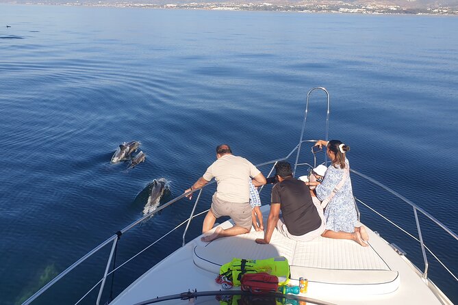 2 Hours Dolphin Watching in Marbella - Highlights of the Experience