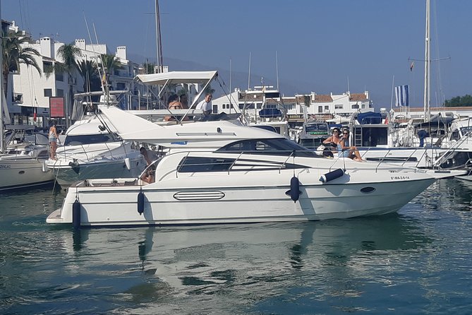 2 Hours Dolphin Watching in Marbella - Accessibility Information