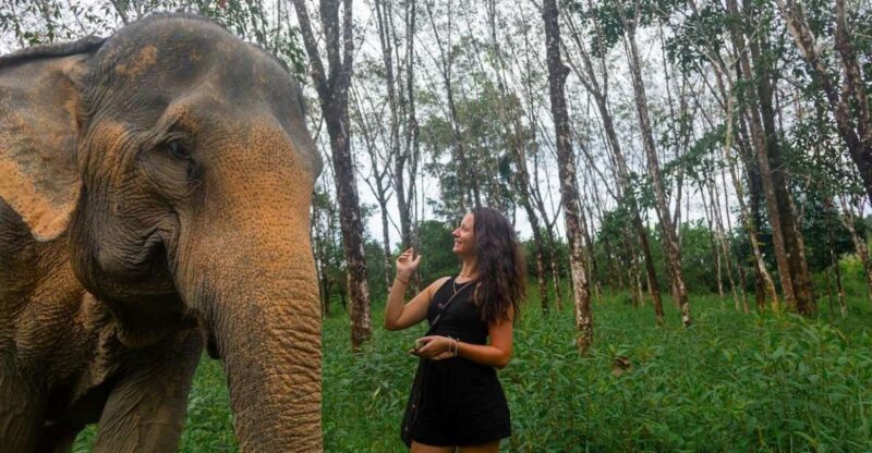 2 Hours-Early Bird Guide Tour in Khao Lak Elephant Sanctuary - Group Size and Language