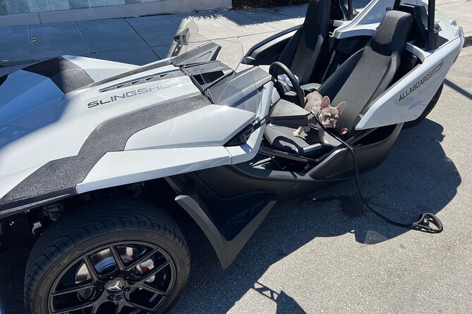 2 Hours Fun in a Automatic Slingshot - Meeting Point and Pickup