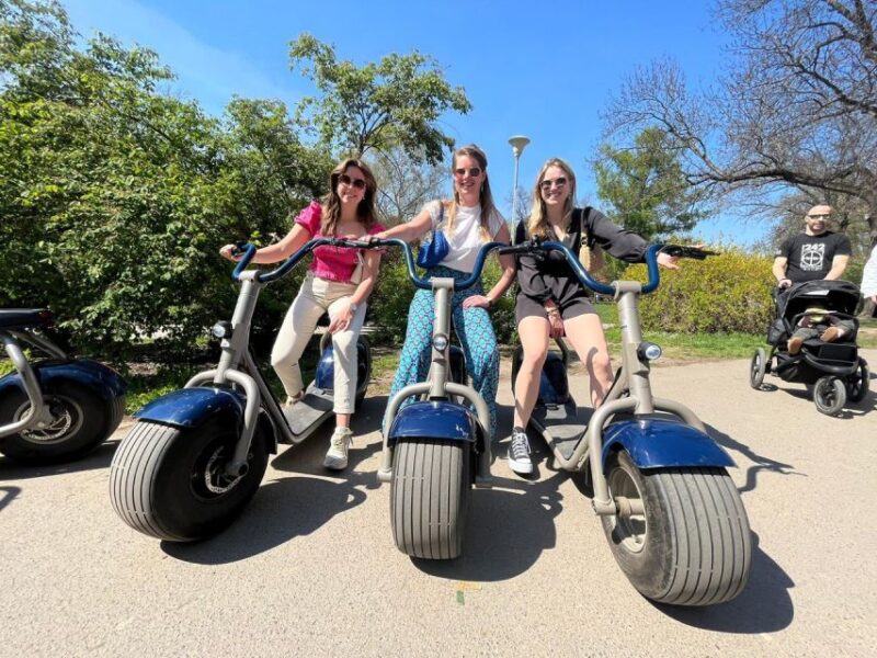 2 Hours Hamburg E-scooter Tour - Tour Details